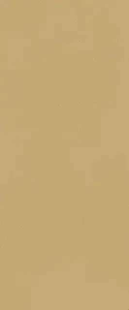 TRUE COLOR 50X120 CARAMEL MATT