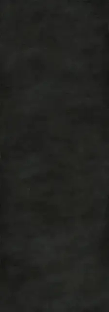 Seta Liquorice 100х300 3+