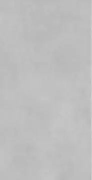 Concrete Expose Grey 8145 60x120