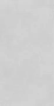 Concrete Expose Light Grey 8144 60x120