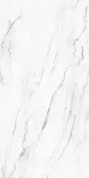 VICTORIA POLISHED 120x240