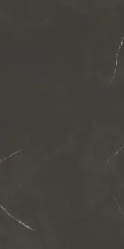 PIETRA BLACK COLOR BODY POLISHED 120x300