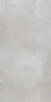 65800 Tatto Light Grey 120x300