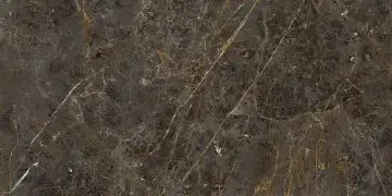 AE GOL6 12 LP 60x120