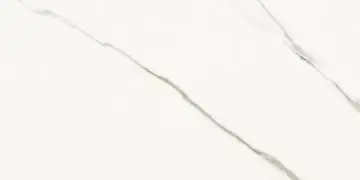 AE EXT6 12 RM 60x120