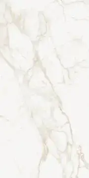 Marmo Calacatta Matt 9133 60x120