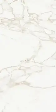 Marmo Calacatta Polished 9128 60x120