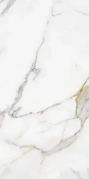 Calacatta Gold 9454 60x120