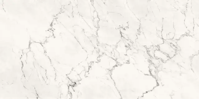 AE CAL6 12 LP 60х120