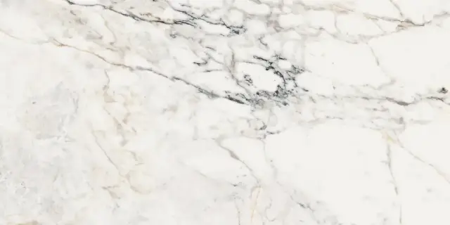 AE PAO6 12 LP 60х120