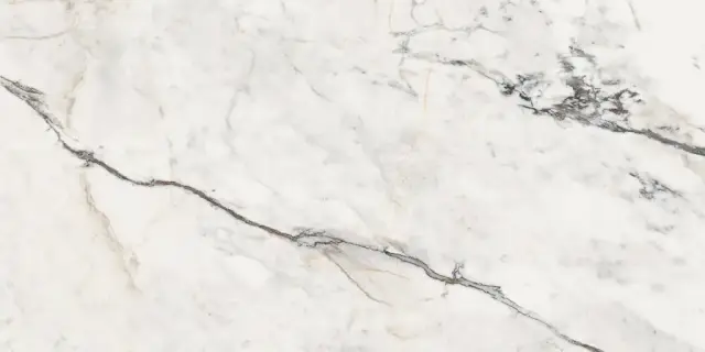 AE PAO6 12 RM 60х120