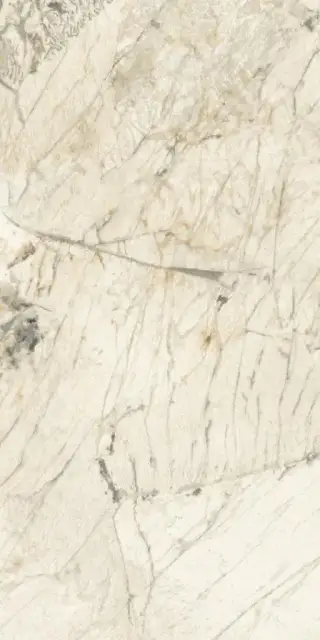 PAT WH6 12 RM 60x120