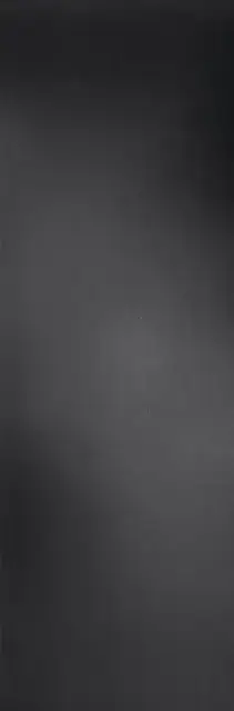 Filo Pece 100х300 3+