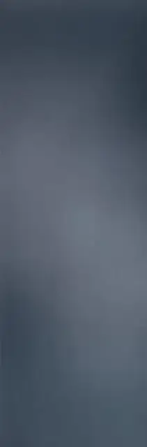 Filo Mercurio 100х300 3+