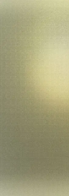 Filo Oro 100х300 3+