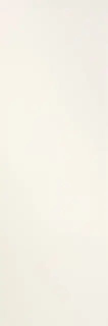 Filo Brina 100х300 3+