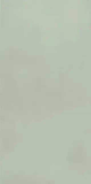 COLOR MOOD 80X160 MENTA MATT