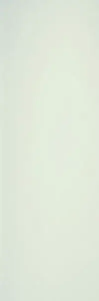 Collection Neve 100х300 3+