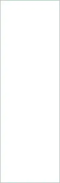 Collection Bianco Assoluto Lucidato 100х300 5