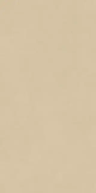 Boost Natural Pro Sand 60x120