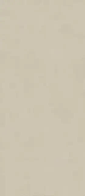 Boost Natural Pro Cinder 120x278 - 6mm