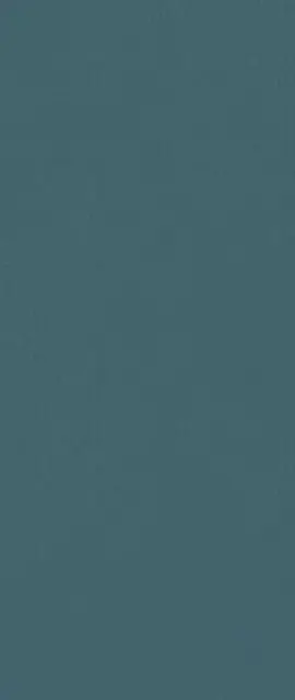 Boost Color Navy Frog 50x120