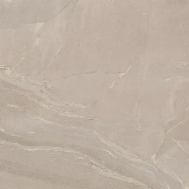 WOODSLATE LIFE DOVE MATT 6MM 120X120R