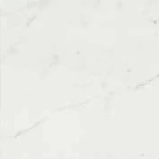 TIMELESS CALACATTA NAT 60X60 RET (746853) Керамогранит