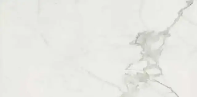 TIMELESS CALACATTA NAT 60X120 RET