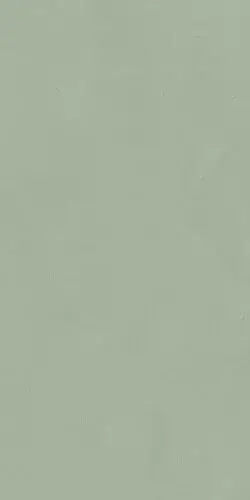 POLICROMA LICHENE MAT 6MM 60x120 RET