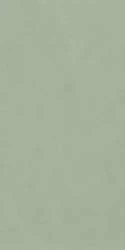 POLICROMA LICHENE MAT 6MM 120X240 RET