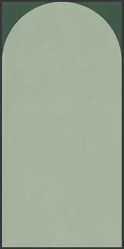 POLICROMA ARCO LICH-CON MAT 6MM 120X240R