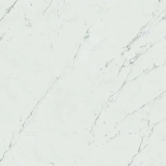 Marvel Carrara Pure 60x60 Lappato