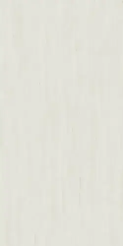 Marvel Bianco Dolomite 120x240 Lappato