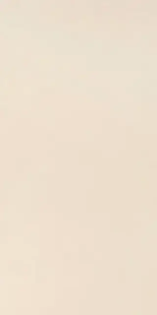 Elements Design IVORY 30X60 RT