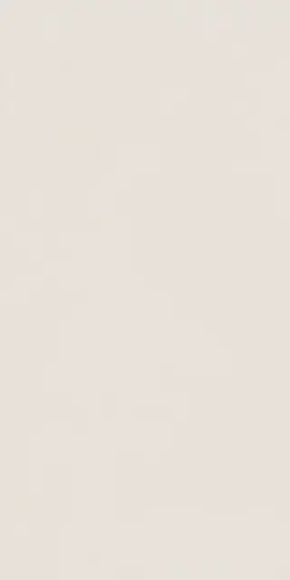 Elements Design WHITE 30X60 R10 RT