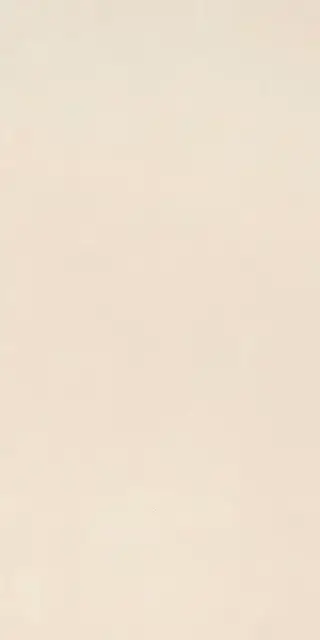 Elements Design IVORY 60X120 R9 RT