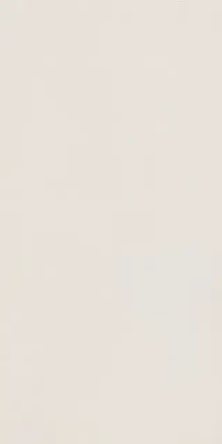 Elements Design WHITE 60X120 R10 RT