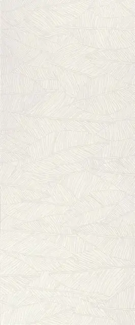 Aplomb White Leaf 50x120