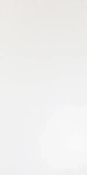 Solid White Matt 40x80