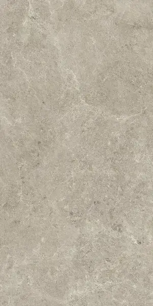 Nyra Mist 60x120 Grip