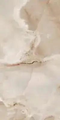 REVES DE REX NOISETTE GLOSSY 30x60 RETT