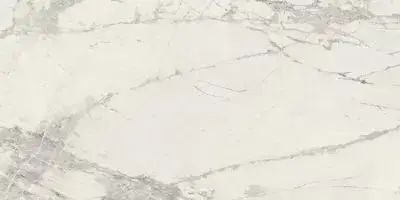 PREXIOUS REX MOUNTAIN TREASURE MAT30X60 R