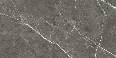 PREXIOUS REX CHARMING AMBER MAT 30X60 R