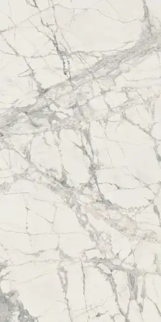 PREXIOUS REX MOUNTAIN TREASURE GLOSSY 60X120R