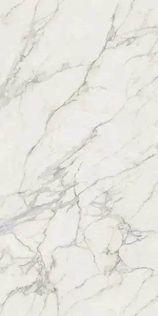 Calacatta Extra Polished 160x320