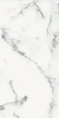 ORIGINES DE REX BLANC MATTE 30x60 RETT