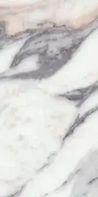 ORIGINES DE REX ARGENT MATTE 30x60 RETT