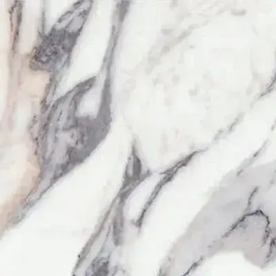 ORIGINES DE REX ARGENT GLOSSY 60X60 RETT