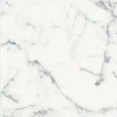 ORIGINES DE REX BLANC GLOSSY 60X60 RETT